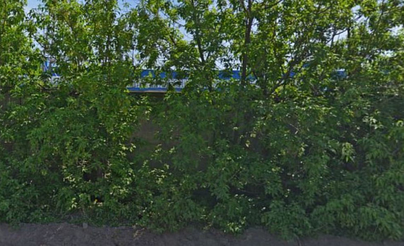 кладовки п. г. т. Малино, ул. Горького, 37 в Москве - Фото 1